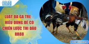 luat-da-ga-tre