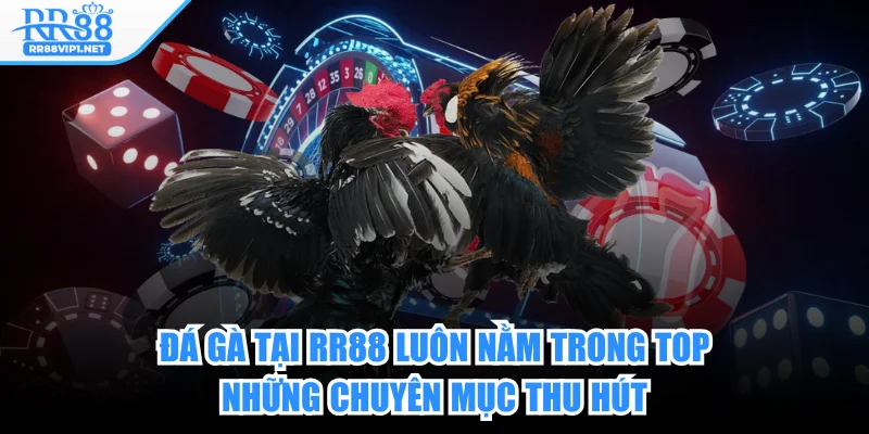 rr88-da-ga